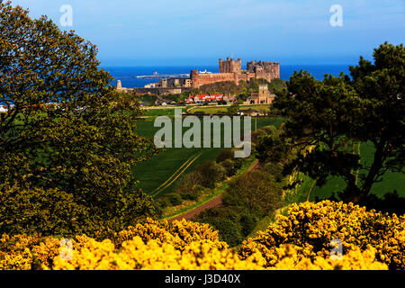 Ein Foto von Bamburgh Castle in Northumberland im Frühjahr aus dem Westen von Bamburgh genommen. Stockfoto