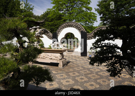 Bonsai Baum-Ausstellung im Innenhof im chinesischen Garten im Frühling, Montreal Botanical Garden, Quebec, Kanada Stockfoto