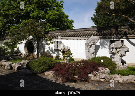 Innenhof mit Stauden und Sträucher im chinesischen Garten im Frühling, Montreal Botanischer Garten, Quebec, Kanada Stockfoto