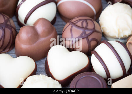 Pralinen, weißer und dunkler Schokolade Trüffel Stockfoto