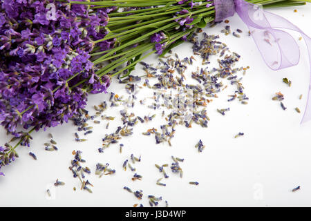 Studioaufnahme von frischem Lavendel blumeblumenstrauß mit einem lila Band auf weißem Hintergrund. Stockfoto