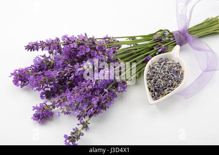 Studioaufnahme von frischem Lavendel blumeblumenstrauß mit einem lila Band auf weißem Hintergrund. Stockfoto