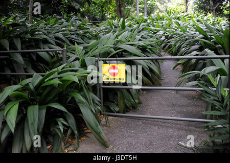 Singapur. 2015. Singapur Zoo Stockfoto