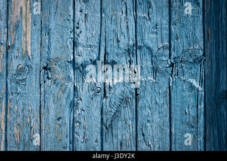 texturierte verwitterte Planken Holz blau lackiert Stockfoto
