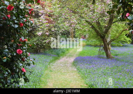 Frühlingsblumen in einem englischen Landhaus-Garten Stockfoto