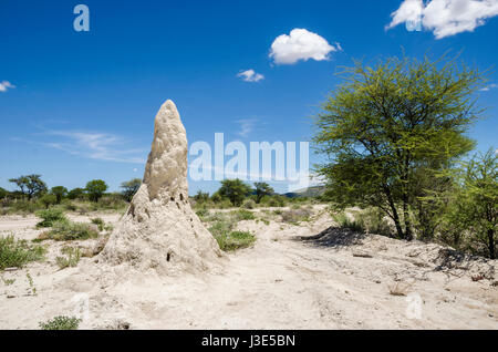 Landschaft mit einem massiven weißen Termite Hügel mit blauem Himmel im Damaraland, Namibia. Stockfoto