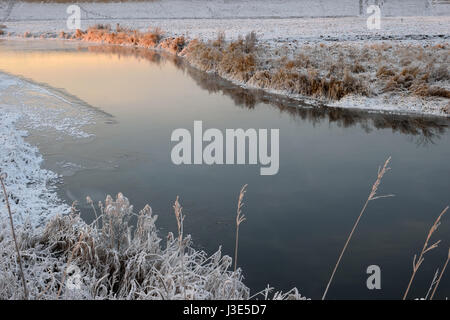 Fluss Trockenrasen in den Kristallen von Schnee am Ufer an einem Winterabend auf zacateros Stockfoto