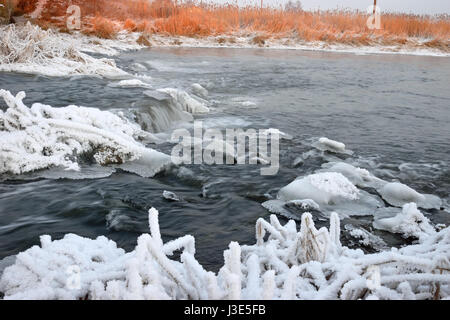 Schäumende Stromschnellen des Flusses, bedeckt mit Wucherungen von Eis und Büsche Trockenrasen in Rauhreif Kristalle am Ufer an einem Winterabend Stockfoto