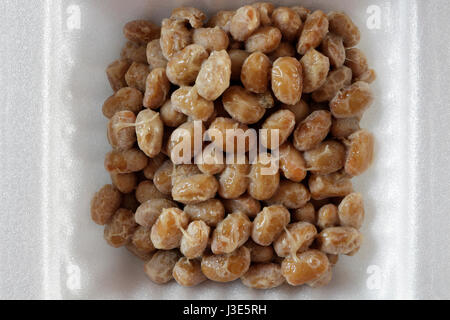 Fermentierte Sojabohnen, Natto, japanischer Snack gesunde Superfood Stockfoto