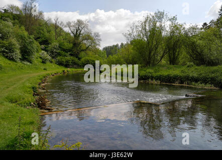 Landschaftlich reizvoller Fluss Lathkill im Lathkill dale, Derbyshire Peak District National Park England Großbritannien, English River Country River Stockfoto