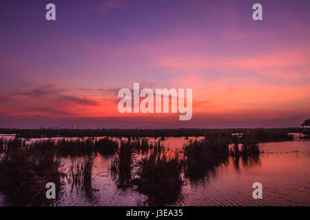 Hölzerne Brücke in Lotus See Sonnenuntergang pünktlich am Khao Sam Roi Yot National Park, Thailand Stockfoto