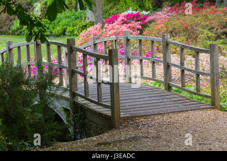 Japanische Brücke mit herrlichem Rhododendren und Azaleen bei Exbury Gardens, New Forest National Park, Hampshire im Mai Frühling Stockfoto