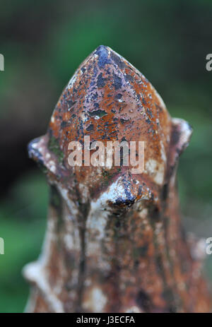 Bügeleisen acorn auf gate Post Stockfoto