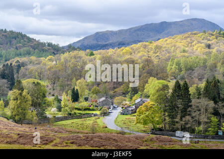 Ein sonniger, aber bewölkt, Tag im Frühling in Elterwater Dorf, Seenplatte, Cumbria, England. Stockfoto