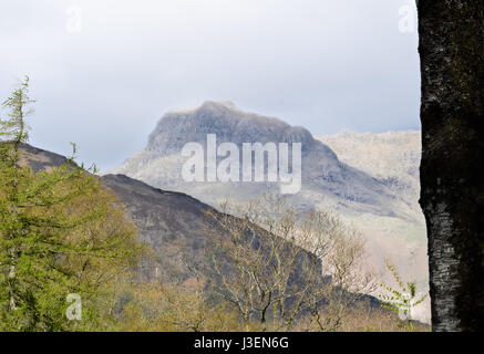 Langdale Gipfel an einem nebligen Tag im Frühling, gesehen vom Elterwater, Lake District, Cumbria, England. Stockfoto