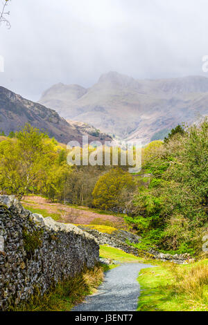 Kaum sichtbare Langdale Gipfel an einem sonnigen, nebligen Tag im Frühling, gesehen vom Elterwater, Lake District, Cumbria, England. Stockfoto