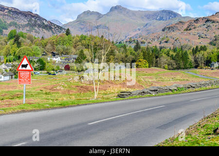 Straßenrand bemerken über die Fred Whitton Fahrrad Herausforderung (7. Mai 2017 stattfinden) an einem sonnigen Tag im Frühling in Elterwater, Seenplatte, Rösche Stockfoto