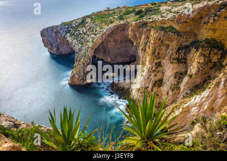 Malta - der berühmte Bogen der blauen Grotte Klippen mit grünen Blättern Stockfoto