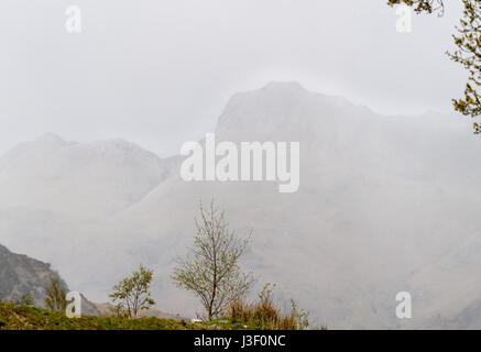 Verschwommenen Konturen des Langdale Gipfel an einem nebligen Tag im Frühling, gesehen vom Elterwater, Lake District, Cumbria, England. Stockfoto