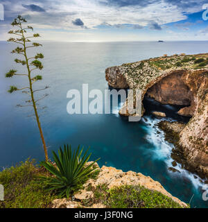 Malta - der berühmte Bogen der blauen Grotte Klippen mit grünen Blättern und Baum Stockfoto