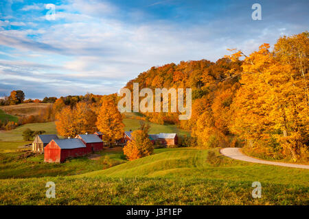 Orange und gelbe Ahornbäume in der Morgendämmerung über dem Jenne-Hof in der Nähe von Woodstock, Vermont, USA Stockfoto