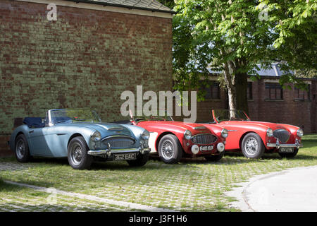 Oldtimer Austin-Healey-Autos in Bicester Heritage Centre. Oxfordshire, England Stockfoto
