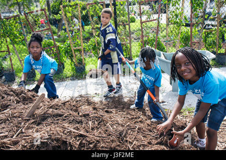 Miami Florida, Little Haiti, Stadtteile im Bloom Butterfly Garden, Freiwillige Freiwillige Freiwillige arbeiten als Arbeiter, arbeiten zusammen, um Hilfe zu leisten Stockfoto