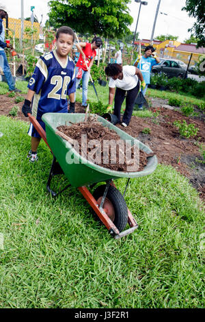 Miami Florida, Little Haiti, Nachbarschaften in Bloom Butterfly Garden, Freiwillige Freiwillige Freiwillige arbeiten Arbeiter, Teamarbeit zusammen ser Stockfoto