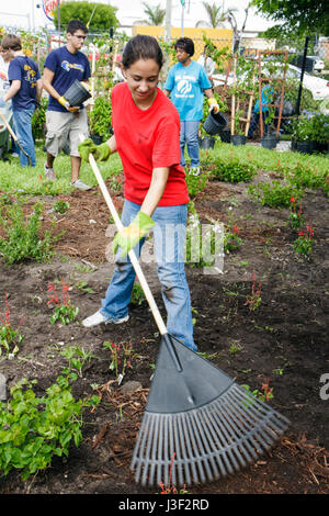 Miami Florida, Little Haiti, Nachbarschaften in Bloom Butterfly Garden, Freiwillige Freiwillige Freiwillige arbeiten Arbeiter, Teamarbeit zusammen con Stockfoto