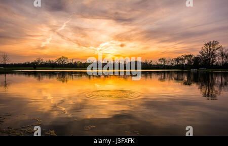 Der See im Park auf der Harlinsdale Farm in Franklin, Tennessee. Stockfoto