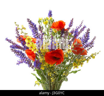 Bunter Strauß von roten Mohnblumen und anderen Wildblumen (Wiese Salbei, schwarze Königskerze) isoliert auf weiss. Stockfoto