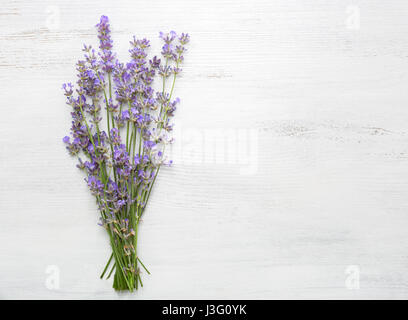 Bündel von Lavendel auf alten Holzbrett weiß lackiert. Stockfoto