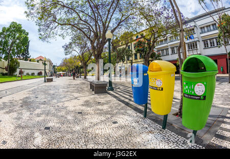 Die Avenida Arriaga Straße und Fußgängerzone in der Stadt Funchal Madeira Stockfoto