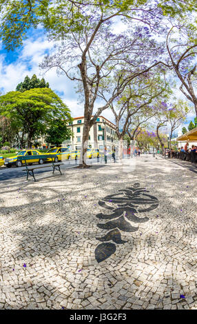 Die Avenida Arriaga Straße und Fußgängerzone in der Stadt Funchal Madeira Stockfoto