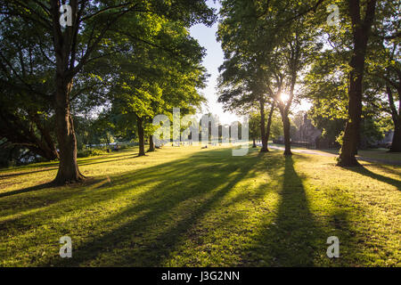 Leeds, England, UK - 30. Juni 2015: Bäume werfen Schatten auf die gepflegten Parklandschaft von Kirkstall Abbey im Aire Valley am Rande des Leeds in Yorksh Stockfoto