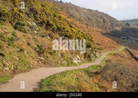 Das Tal der Felsen im Exmoor National Park in der Nähe von Lynton, North Devon, England. Weg bis zu den Klippen und die Küste Stockfoto