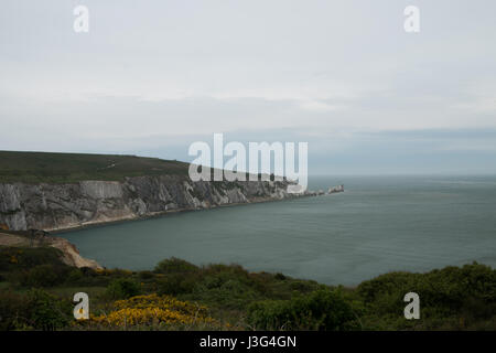 Die Nadeln Leuchtturm & Felsen von Headon Warren, Isle Of Wight. Stockfoto