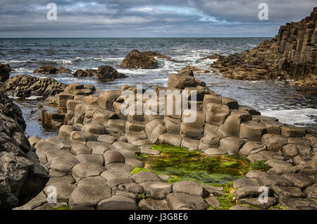 Sechseckige Basaltsteine auf den Giant's Causeway in Irland Stockfoto