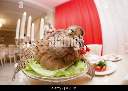 ein verwundeter Fasanenjagd. gekochte Koch zum Festmahl. Traditionellen Stilleben fest. Stockfoto