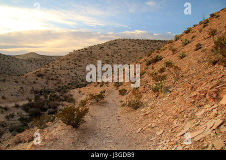 Die malerische Hot Springs Loop Trail im Big Bend National Park ist eines der beliebtesten und einfachsten Wanderungen im Big Bend Region im Bundesstaat Texas Stockfoto