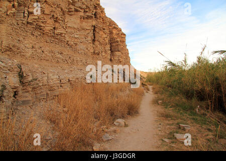 Die malerische Hot Springs Loop Trail im Big Bend National Park ist eines der beliebtesten und einfachsten Wanderungen im Big Bend Region im Bundesstaat Texas Stockfoto