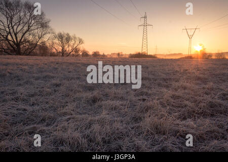 Hochspannungsleitung unterstützt am frühen Morgen in frostigen Bereich mit alten Rasen scheint bei Sonnenaufgang Stockfoto