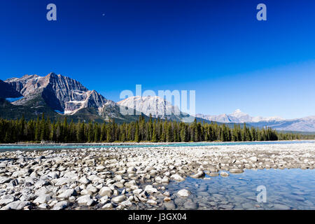 Der Athabasca River entspringt der Columbia-Gletscher das Columbia Icefield im Jasper National Park in Alberta, Kanada. Die beeindruckende und maleris Stockfoto