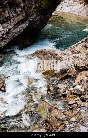 Johnston Creek hat seinen Ursprung nördlich von Schloss Berg in einem Urstromtal südwestlich von Badger Pass und südlich von Pulsatilla Pass, auf einer Höhe von 2.500 Stockfoto