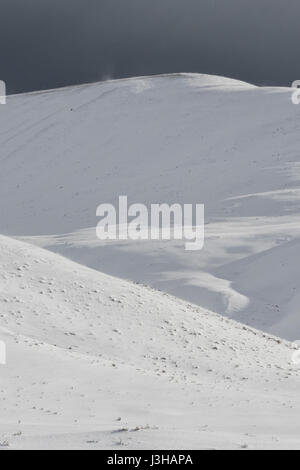 Hügel von Lamar Valley, Yellowstone NP, starker Wind Strahlen Schnee über die Hügel, bedrohlich dunklen schwarzen Himmel, bevorstehende Unwetter, Wyoming, USA. Stockfoto