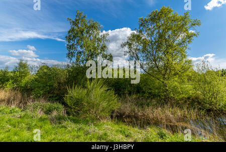 Ein Blick auf die Landschaft in Paddington Meadows in Warrington Stockfoto