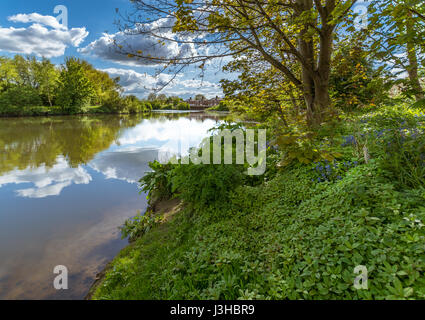 Einem sonnigen Frühlingstag auf den Fluss Mersey in der Nähe von Paddington Bank in Warrington Stockfoto