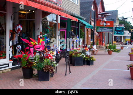 Geschäfte in North Conway, New Hampshire, Usa Stockfoto