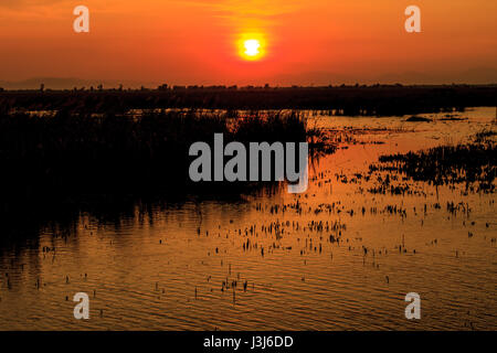 Hölzerne Brücke in Lotus See Sonnenuntergang pünktlich am Khao Sam Roi Yot National Park, Thailand Stockfoto