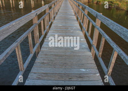 Hölzerne Brücke in Lotus See im Khao Samroiyod Nationalpark, Thailand Stockfoto